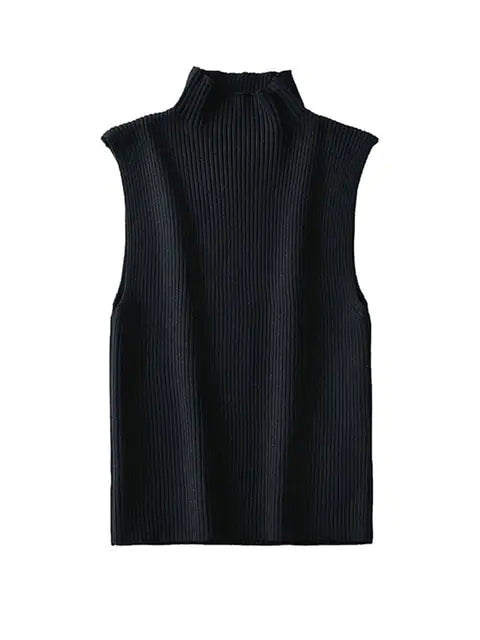 Sleeveless Knit High Neck Top