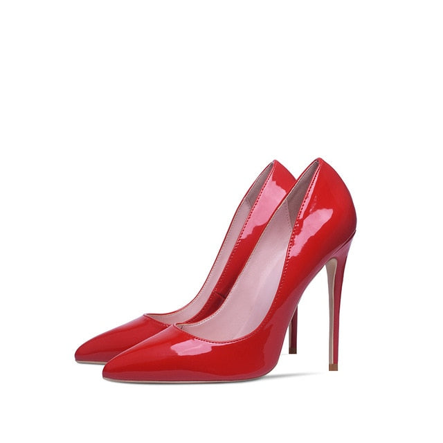 12cm Pointed Toe Stilettos Shoe
