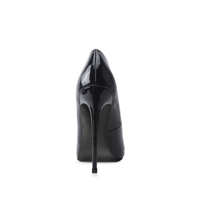 12cm Pointed Toe Stilettos Shoe