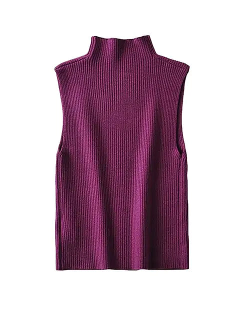 Sleeveless Knit High Neck Top