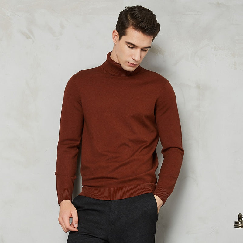 8 Color Turtleneck Sweater