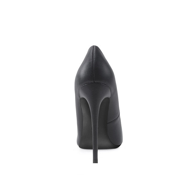 12cm  Pointed Toe Stilettos  Shoe